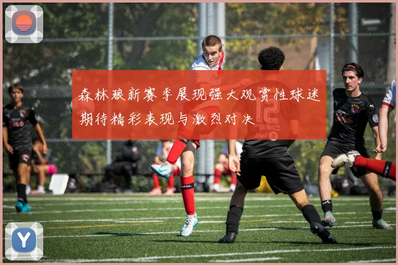 森林狼新赛季展现强大观赏性球迷期待精彩表现与激烈对决